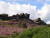 Rocky outcrop on Staffordshire Moorlands